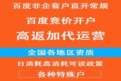 百度竞价排名推广：快速提升网站流量的技巧
